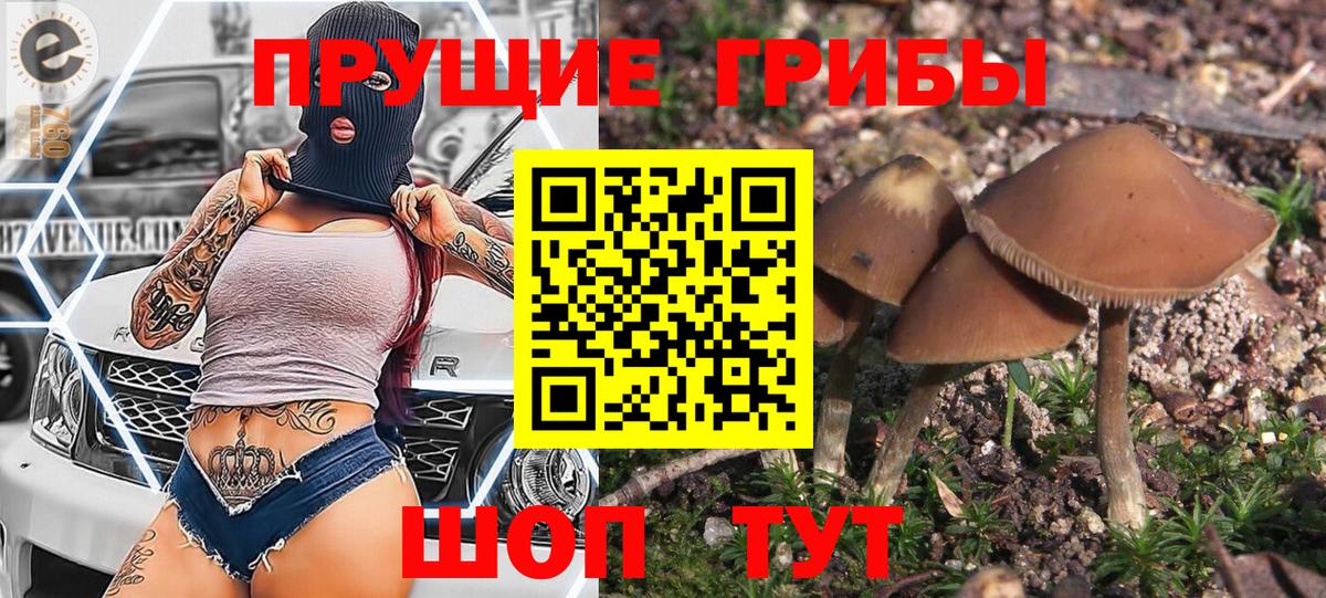 Галлюциногенные грибы прущие грибы Павлово