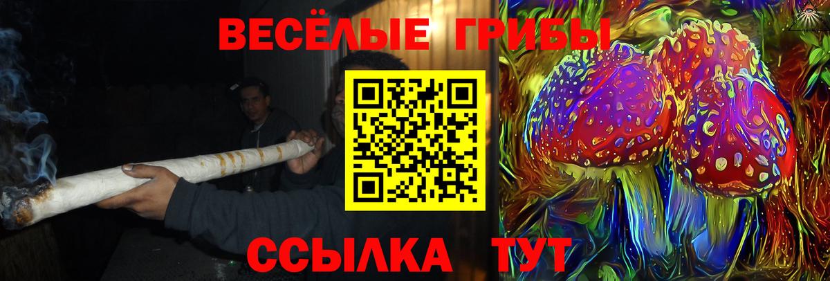 Галлюциногенные грибы Cubensis  Вход с VPN  Павлово  Псилоцибиновые грибы GOLDEN TEACHER 