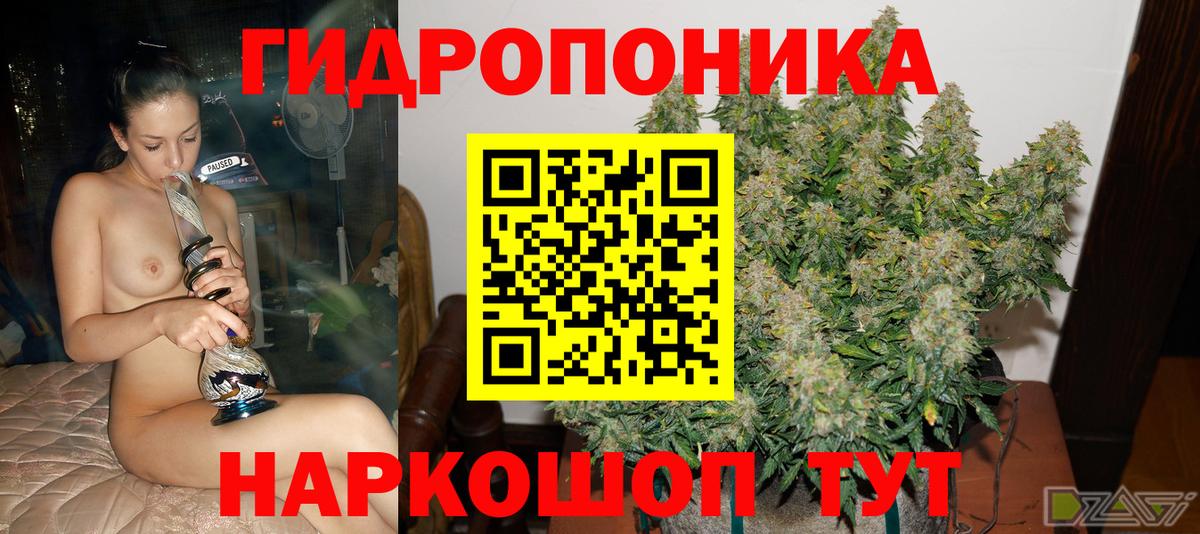 Бошки Шишки гибрид  Бошки Шишки Ganja  Вход с VPN  Шишки марихуана конопля  Павлово 